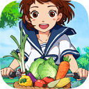 六安美食门户APP